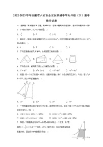 2022-2023学年安徽省六安市金安区皋城中学九年级（下）期中数学试卷（含解析）