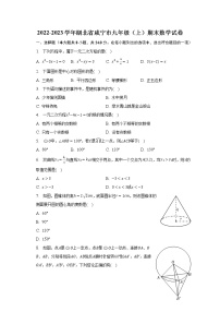 2022-2023学年湖北省咸宁市九年级（上）期末数学试卷（含解析）