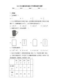 2023年安徽省舒城县中考模拟数学试题