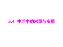 数学青岛版5.4 生活中的常量与变量评课ppt课件