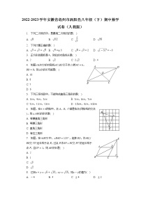 安徽省亳州市涡阳县2022-2023学年八年级下学期期中数学试卷