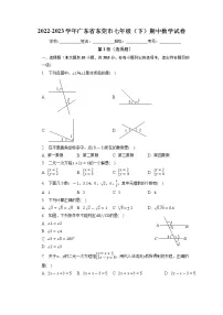 广东省东莞市2022-2023学年七年级下学期期中数学试卷