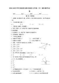 河南省安阳市滑县2022-2023学年七年级下学期期中数学试卷