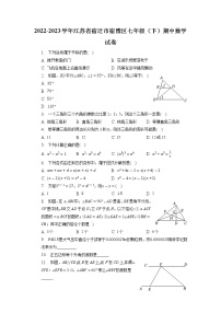 江苏省宿迁市宿豫区2022-2023学年七年级下学期期中数学试卷