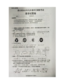 2023年湖北省黄石市一模数学试题