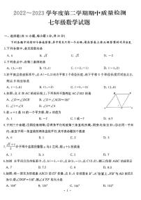 湖北省武汉市硚口区2022-2023学年七年级下学期期中数学试卷