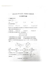 山东省泰安市宁阳县2022-2023学年九年级下学期期中质量监测数学试题