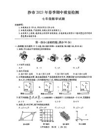 湖北省荆州市沙市2022-2023学年七年级下学期期中质量检测数学试题