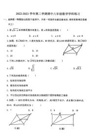 天津外国语大学附属滨海外国语学校2022-2023学年八年级下学期期中练习数学试题