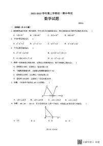 广东省深圳市宝安区第一外国语学校2022-2023学年七年级下学期期中考试数学试卷