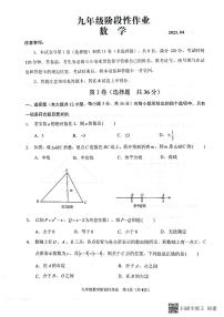 山东省临沂市沂水县2022-2023学年九年级一轮考试考试数学试题+