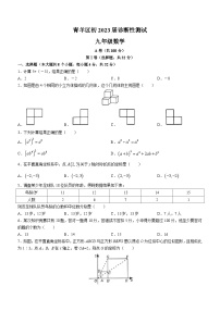 2023年四川省成都市青羊区中考二模数学试题(含答案)