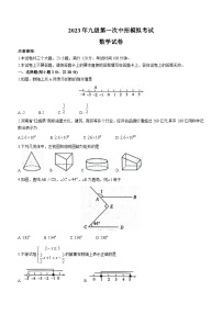 2023年河南省开封市通许县中招一模数学试题 (含答案)