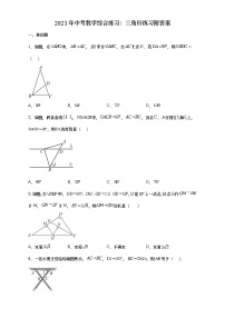 2023年中考数学综合练习：三角形练习附答案