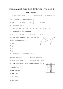 2022-2023学年安徽省亳州市涡阳县八年级（下）期中数学试卷（人教版）（含解析）