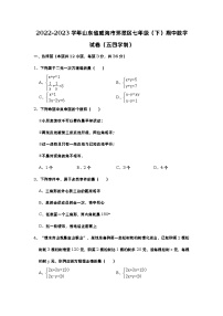 2022-2023学年山东省威海市环翠区七年级（下）期中数学试卷（五四学制）（含解析）