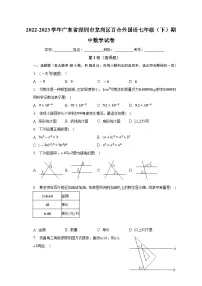 广东省深圳市龙岗区百合外国语学校2022-2023学年下学期七年级期中数学试卷 (含答案)