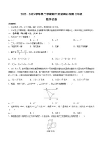 河南省洛阳市伊川县2022-2023学年七年级下学期期中数学试题(含答案)