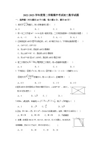 山东省烟台招远市（五四制）2022-2023学年八年级下学期期中考试数学试题(含答案)