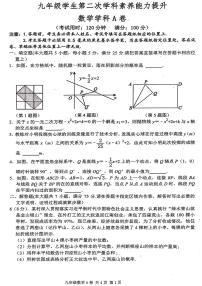 2023年江苏省兴化市九年级第二次学生学科素养能力提升数学A卷(pdf版含答案)