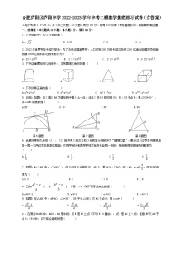 安徽省合肥市庐阳区庐阳中学2022-2023学年中考二模数学摸底练习试卷