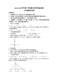 河北省唐山市迁安市2022-2023学年七年级下学期期中数学试题