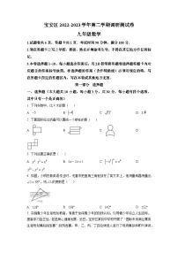 2023年广东省深圳市宝安区中考二模数学试卷
