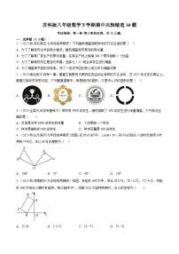 苏科版八年级数学下学期期中压轴精选30题-八年级数学下册重难点专题提优训练（苏科版）