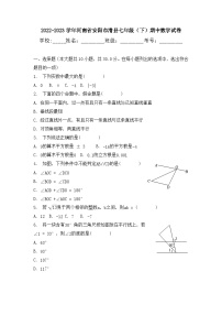 河南省安阳市滑县2022-2023学年七年级下学期期中数学试卷