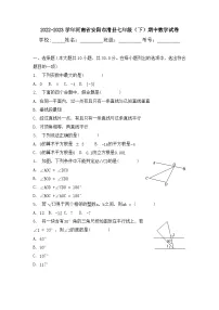 河南省安阳市滑县2022-2023学年七年级下学期期中数学试卷