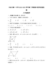 河南省许昌市魏都区第一中学2022-2023学年八年级下学期期中数学试题(无答案)