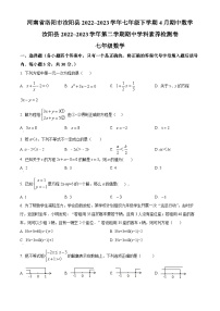 河南省洛阳市汝阳县2022-2023学年七年级下学期期中数学试题