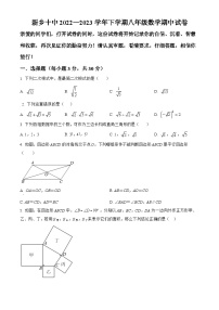 河南省新乡市红旗区第十中学2022-2023学年八年级下学期期中数学试题