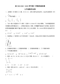 2023年河南省洛阳市西工区中考一模数学试题