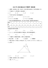 2023年上海市嘉定区中考数学二模试卷（含解析）