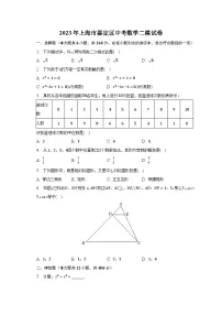 2023年上海市嘉定区中考数学二模试卷（含解析）