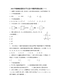 2023年湖南省岳阳市平江县中考数学质检试卷（一）（含解析）