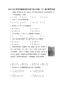 2022-2023学年河南省洛阳市洛宁县七年级（下）期中数学试卷（含解析）
