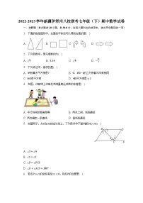 2022-2023学年新疆伊犁州八校联考七年级(下)期中数学试卷(含解析)