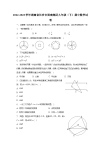 2022-2023学年湖南省长沙市周南集团九年级（下）期中数学试卷（含解析）