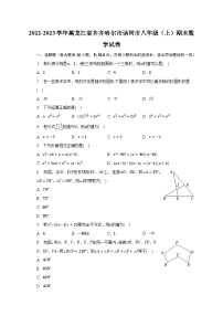 2022-2023学年黑龙江省齐齐哈尔市讷河市八年级（上）期末数学试卷（含解析）