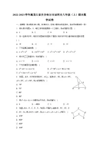 2022-2023学年黑龙江省齐齐哈尔市讷河市八年级(上)期末数学试卷(含解析)