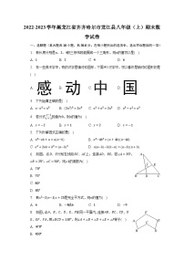 2022-2023学年黑龙江省齐齐哈尔市龙江县八年级（上）期末数学试卷（含解析）