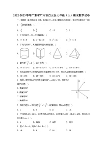 2022-2023学年广东省广州市白云区七年级（上）期末数学试卷（含解析）