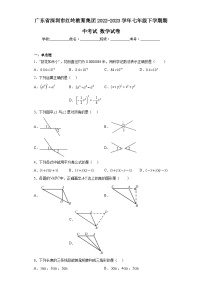 广东省深圳市红岭教育集团2022-2023学年七年级下学期期中考试数学试卷