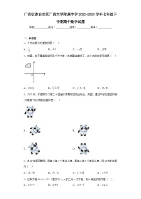 广西壮族自治区广西大学附属中学2022-2023学年七年级下学期期中数学试题