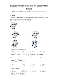 湖北省武汉市武珞路中学2022-2023学年七年级下学期期中数学试卷