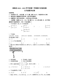 河北省唐山市滦南县2022-2023学年七年级下学期期中数学试题