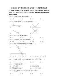 重庆市南川区2022-2023学年七年级下学期期中数学试卷