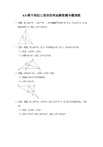 初中数学浙教版九年级上册4.4 两个三角形相似的判定测试题